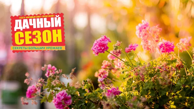 Ранняя диагностика онкозаболеваний